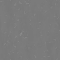 Asset preview
